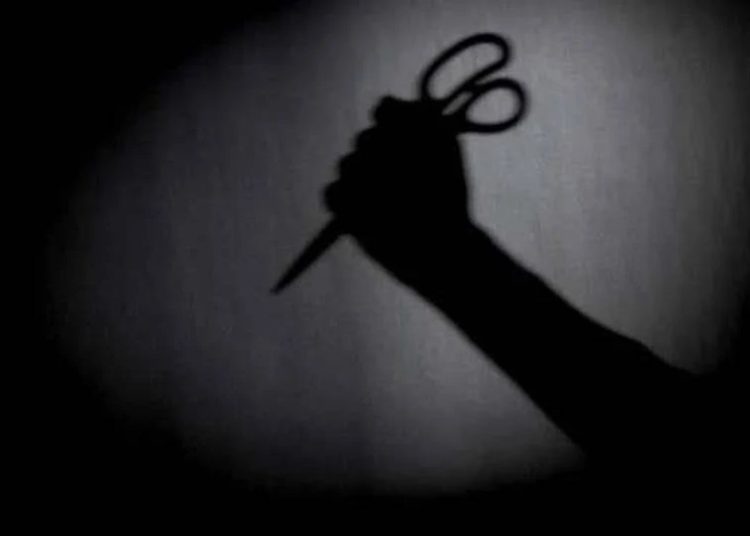 Ηλεία: Έπιασαν την γυναίκα με το ψαλίδι που επιτέθηκε σε άλλη γυναίκα