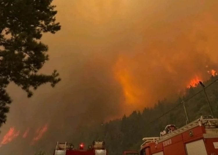 Μεγάλη φωτιά στον Φενεό Κορινθίας-Εκκενώνονται χωριά