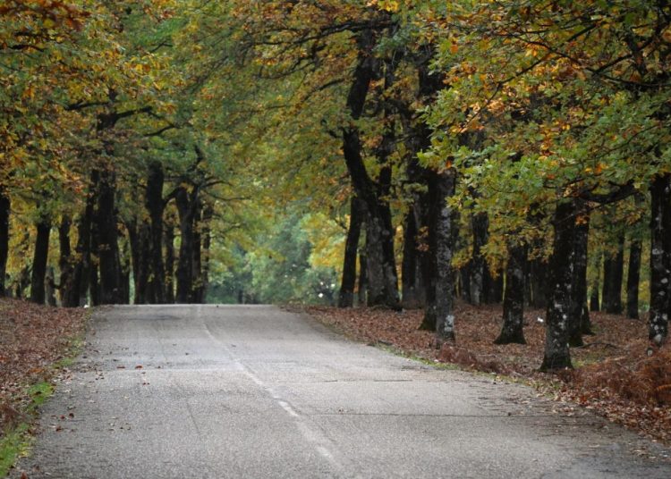 Ο ονειρεμένος δρόμος της Hλείας μέσα στην φύση που μάγεψε τον πλανήτη-