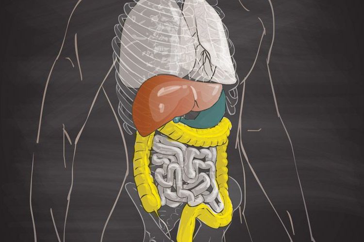 Υγεία του Πεπτικού: Τι παθαίνουμε όταν δεν τρώμε κρέας για μεγάλο διάστημα;