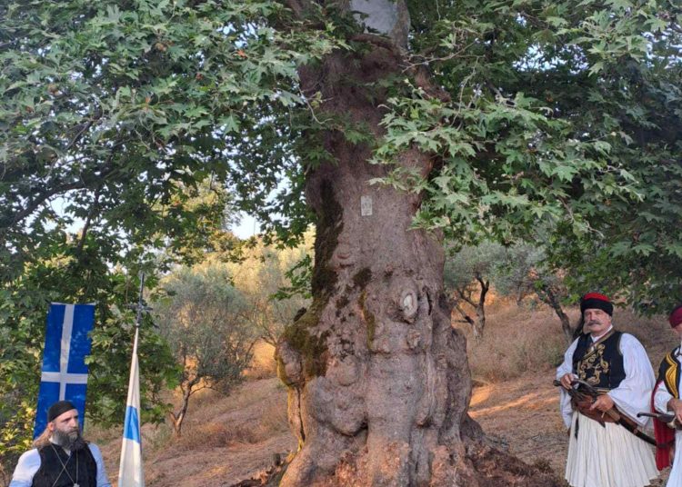 Τελετή αποκαλυπτηρίων τιμητικής σήμανσης  μνημειακού πλατάνου Λάλα