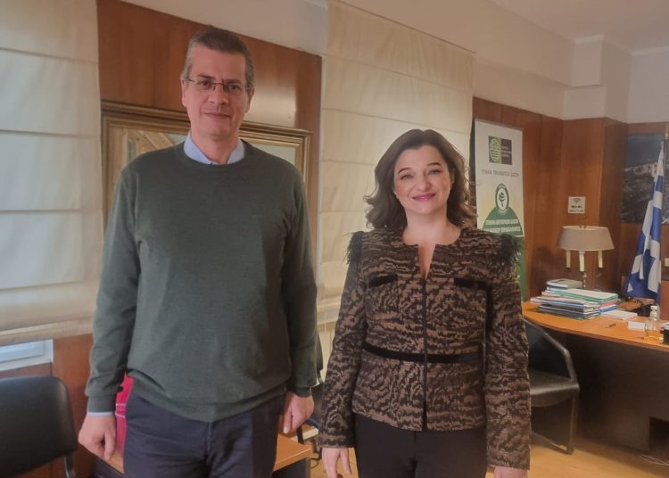 Δ.Αυγερινοπούλου: Αυτοψία στα Λάμπεια Όρη για την Ελάτη που ξεραίνεται