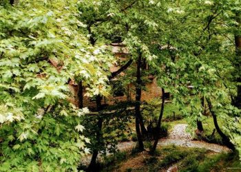 “Για να λέμε και του στραβού το δίκιο…”