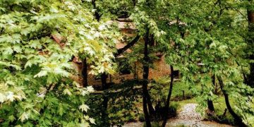 “Για να λέμε και του στραβού το δίκιο…”