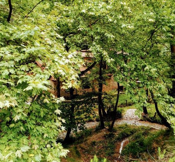 “Για να λέμε και του στραβού το δίκιο…”