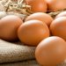 Ηλεία: Εντοπίστηκαν τοξικές ουσίες & φυτοφάρμακα στα αυγά-Τι αποκαλύπτει επιστημονική έρευνα