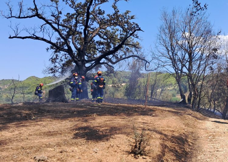 Ελαιώνας Πύργου: Κάτοικοι & εθελοντές πρόλαβαν τα χειρότερα στην φωτιά