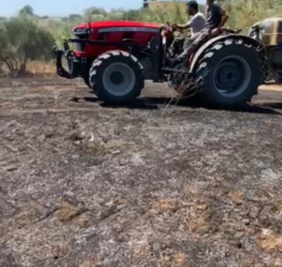 Ελαιώνας Πύργου: Κάτοικοι & εθελοντές πρόλαβαν τα χειρότερα στην φωτιά