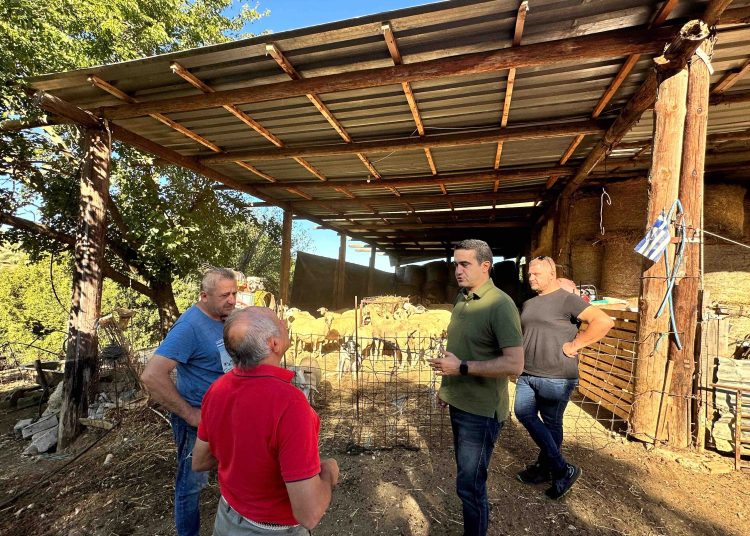 Μ.Κατρίνης: Χρειάζεται εθνικό σχέδιο έκτακτης ανάγκης για την κτηνοτροφία