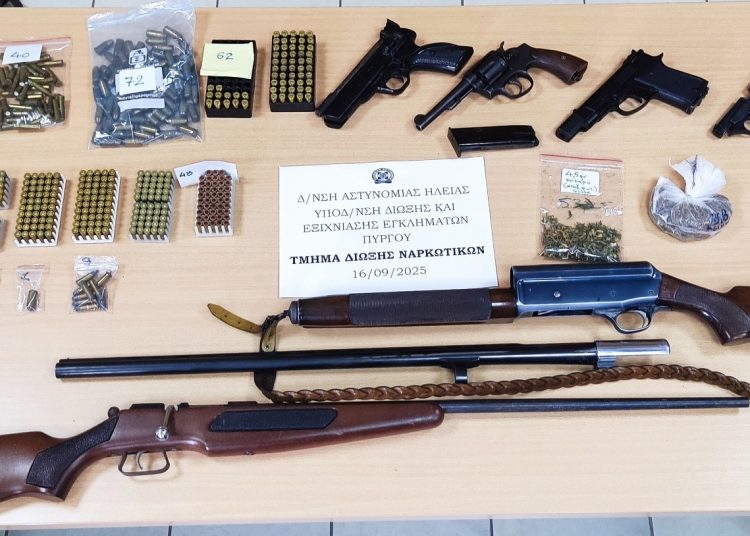 Πύργος: Τους κάρφωσαν και βρήκαν σε δάσος δέντρα ναρκωτικών και όπλα