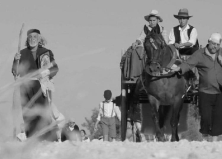 Ορφέας: Δωρεάν θέαση της ταινίας Γη Καμένη, Σπόροι Σκορπισμένοι του Ηλείου Π.Πέττα