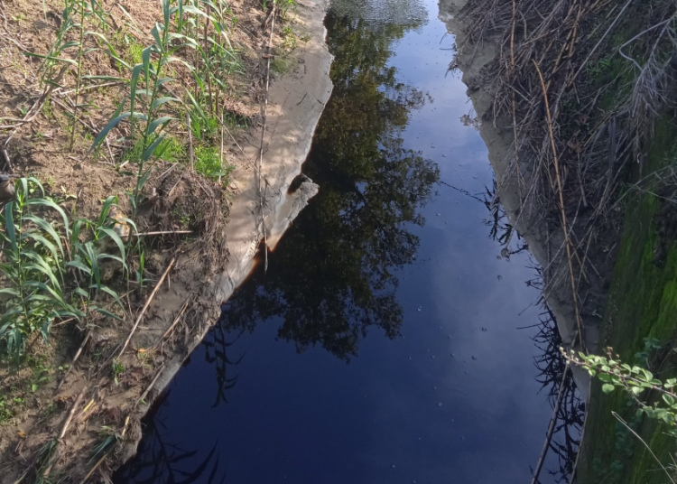 Καρδαμάς: Ανησυχία κατοίκων για μολυσμένα ύδατα στον ποταμό