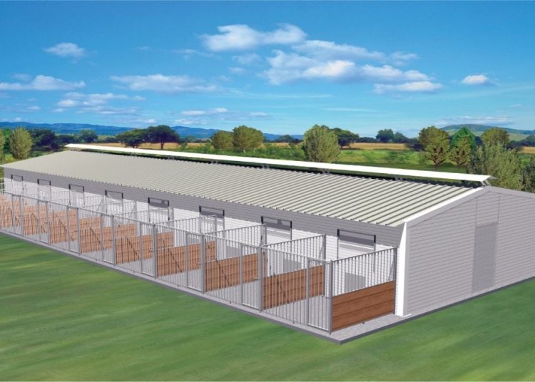 Πρωτοπορεί ο Δήμος Ανδραβίδας-Κυλλήνης: Ξεκινάει διαδικασίες για καταφύγιο αδέσποτων