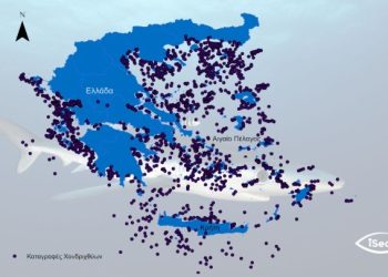Καρχαρίες και σαλάχια στις ελληνικές θάλασσες-Ποια είδη ζουν στο Ιόνιο
