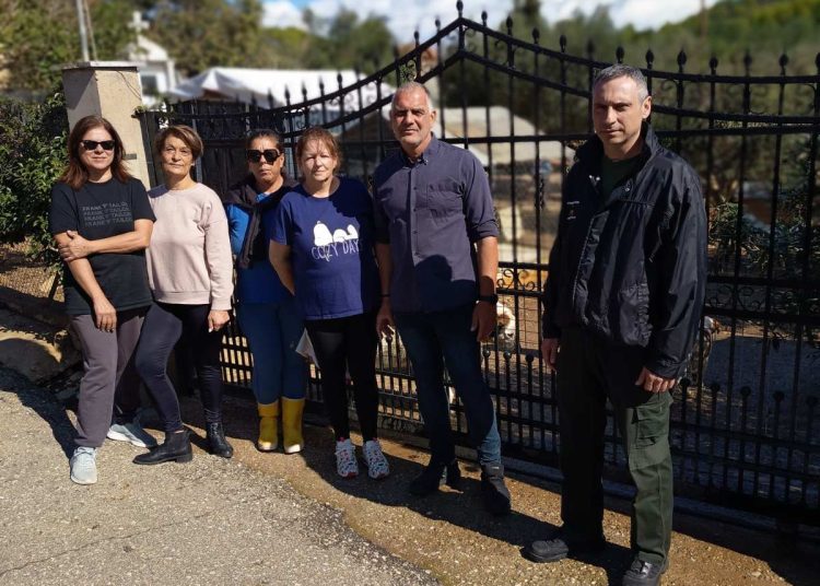 Συνεργασία Δήμου Πύργου & «Αδέσποτων Πατουσών» για τη διαχείριση των αδέσποτων ζώων