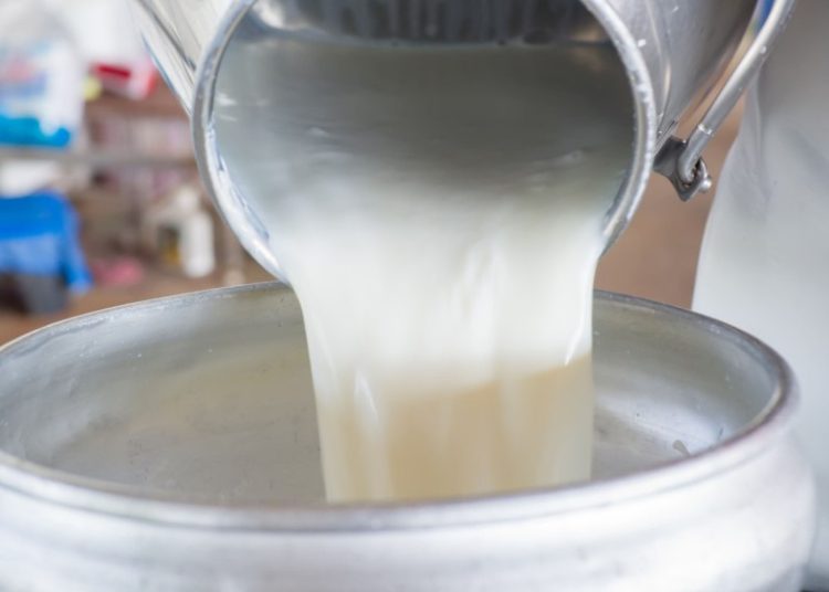 Ηλεία: Προβλήματα στην τυροκομεία, ελλείψεις στα κρεοπωλεία λόγω ζωονόσων