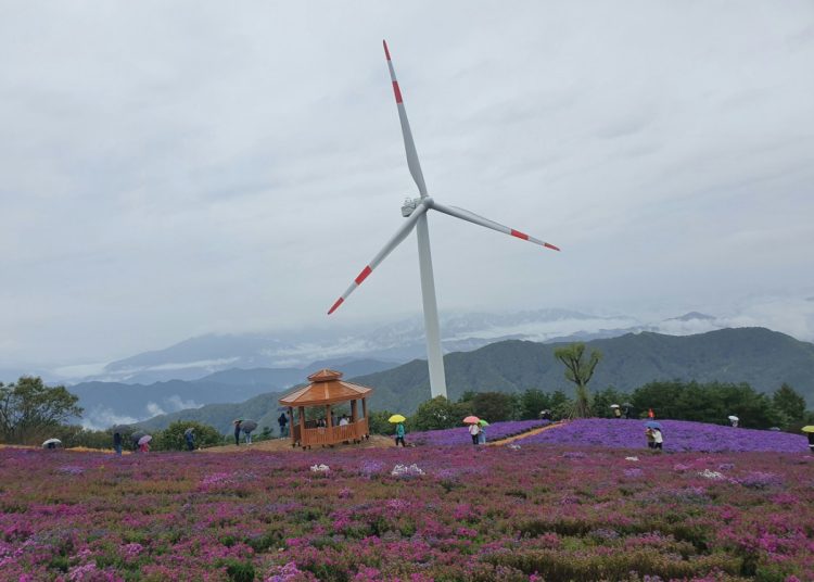 Κίνα: Πώς η ενεργειακή της επανάσταση θα αλλάξει τις αγορές και την παγκόσμια οικονομία