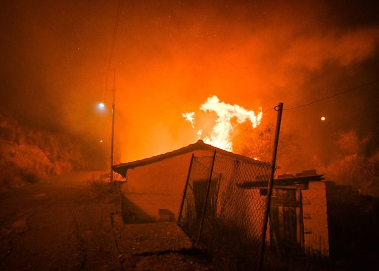 Ολυμπία & Πύργος: Αναδασωτέα τα καμένα του φετινού καλοκαιριού