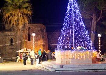 Φωταγωγήθηκε το Χριστουγεννιάτικο Δέντρο Ανδραβίδας