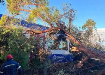 Πύργος: Δέντρο καταπλάκωσε το τρένο που πέρναγε-Τραυματίας ο οδηγός