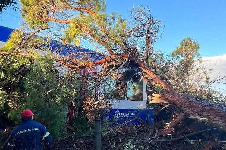 Πύργος: Δέντρο καταπλάκωσε το τρένο που πέρναγε-Τραυματίας ο οδηγός