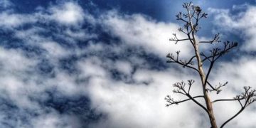 “Επιστροφή” του χειμώνα με αρκετό κρύο το προσεχές τριήμερο