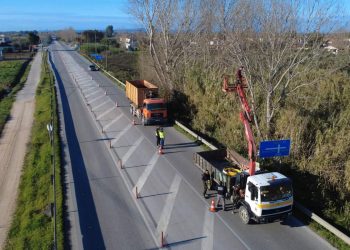 Π.Ε Ηλείας: Παρεμβάσεις κοπής επικίνδυνων δέντρων στο οδικό δίκτυο