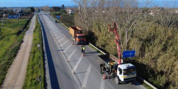 Π.Ε Ηλείας: Παρεμβάσεις κοπής επικίνδυνων δέντρων στο οδικό δίκτυο