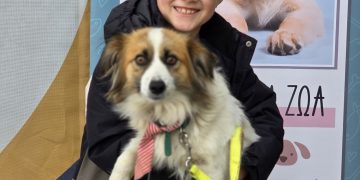 Μια νέα οικογένεια για τη μικρή σκυλίτσα Billie στον Δήμο Αρχαίας Ολυμπίας