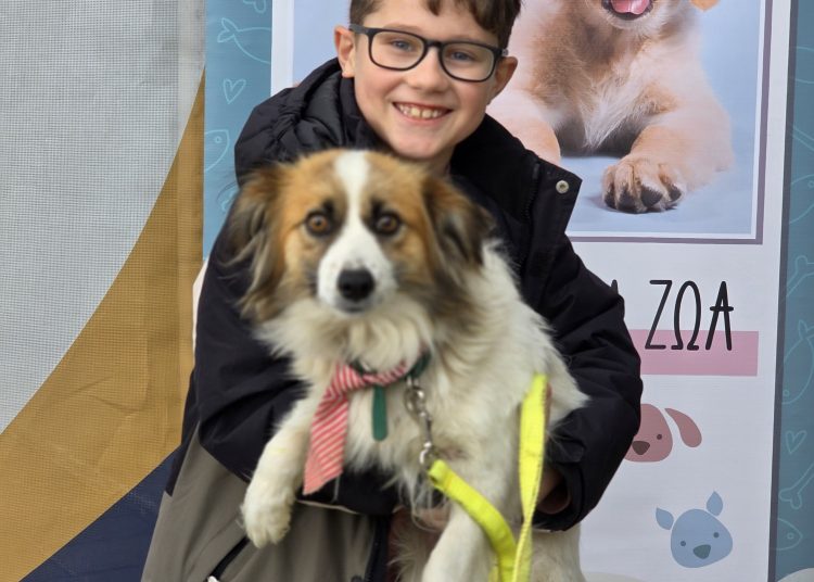 Μια νέα οικογένεια για τη μικρή σκυλίτσα Billie στον Δήμο Αρχαίας Ολυμπίας