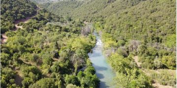 Ο Αλφειός ποταμός – Ένα ποτάμι γεμάτο μύθους, μυστήριο και… ερωτική επιμονή!