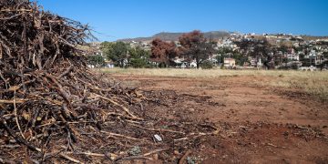 Καθαρισμός οικοπέδων: Τι αλλάζει από 1η Απριλίου – Οι υπόχρεοι και τα πρόστιμα