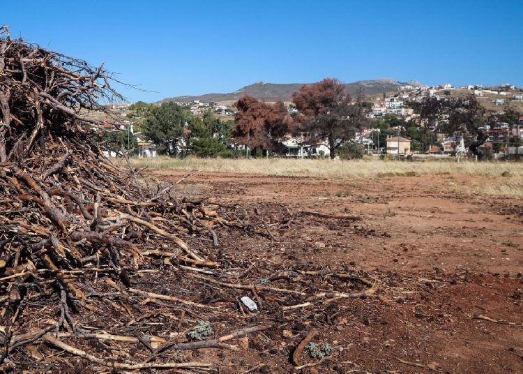Καθαρισμός οικοπέδων: Τι αλλάζει από 1η Απριλίου – Οι υπόχρεοι και τα πρόστιμα
