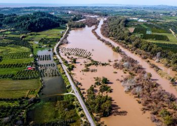 Κάμπος Αλφειού: Πλημμυρισμένα χωράφια δημιουργούν πρόβλημα στις καλλιέργειες