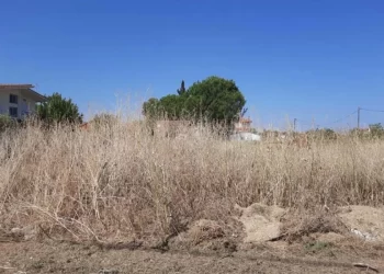 Δ. Πύργου: Υποχρεωτικός καθαρισμός οικοπεδικών χώρων και υποβολή δηλώσεων για την Αντιπυρική Περίοδο 2026