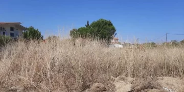 Δ. Πύργου: Υποχρεωτικός καθαρισμός οικοπεδικών χώρων και υποβολή δηλώσεων για την Αντιπυρική Περίοδο 2026