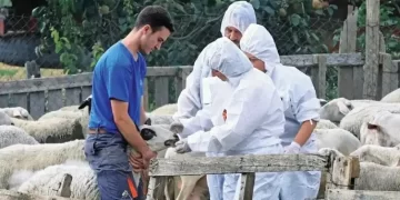 «Φούντωσε» πάλι η ευλογιά: Χάθηκε το στοίχημα του Πάσχα για την Δυτική Ελλάδα