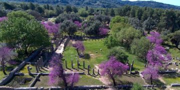 Αρχαία Ολυμπία: Τα ροζ δέντρα που ομορφαίνουν τον αρχαιολογικό χώρο-Μαγεύει η άνοιξη