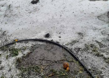 Ηλεία: Χαλαζόπτωση κατέστρεψε καλλιέργειες εποχής