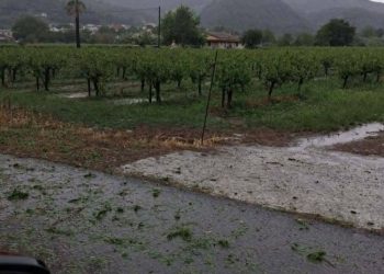 Ηλεία: Χαλαζόπτωση κατέστρεψε καλλιέργειες εποχής