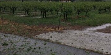 Ηλεία: Χαλαζόπτωση κατέστρεψε καλλιέργειες εποχής