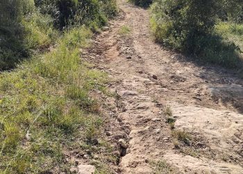 Ολυμπία: Σε κακή κατάσταση ο δρόμος Λάσδικα-Κλαδέου-Τι καταγγέλλει αναγνώστης