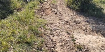 Ολυμπία: Σε κακή κατάσταση ο δρόμος Λάσδικα-Κλαδέου-Τι καταγγέλλει αναγνώστης