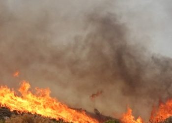 Ηλεία: Πανελλαδική …πρωτιά στους εμπρησμούς από αμέλεια για το 2025 – Μεγάλο το πρόβλημα
