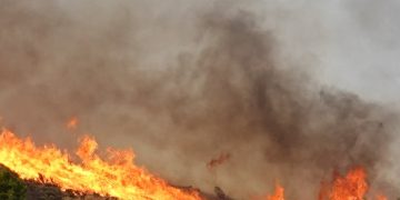 Ηλεία: Πανελλαδική …πρωτιά στους εμπρησμούς από αμέλεια για το 2025 – Μεγάλο το πρόβλημα