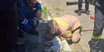 Ζαχάρω: Πυροσβέστες έσωσαν από φωτιά ηλικιωμένη- Έκαναν ΚΑΡΠΑ στον σκύλο της