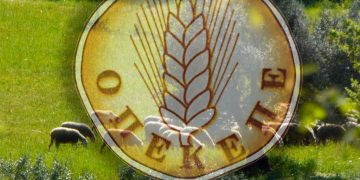 ΟΠΕΚΕΠΕ: Πως είχαν στήσει «φαγοπότι» με επιδοτήσεις στη Βόρεια Ελλάδα – Υπόθεση με 317 κατηγορούμενους!