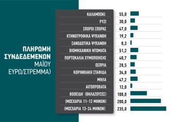 Καθορίστηκαν οι τιμές των συνδεδεμένων – με 55 ευρώ το καλαμπόκι, 12 ευρώ το πρόβατο, 8,3 η μηδική, 30 ευρώ το ρύζι