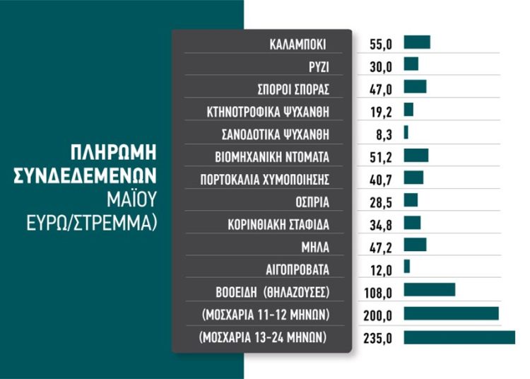 Καθορίστηκαν οι τιμές των συνδεδεμένων – με 55 ευρώ το καλαμπόκι, 12 ευρώ το πρόβατο, 8,3 η μηδική, 30 ευρώ το ρύζι