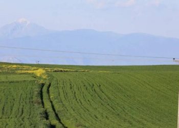 Προβλήματα στη βεβαίωση κατά κύριο επάγγελμα από το Μητρώο Αγροτών φέρνουν αποκλεισμούς